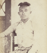 A Siamese Aristocrat
