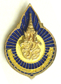 6th Cycle Pin