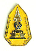 7th Cycle Pin