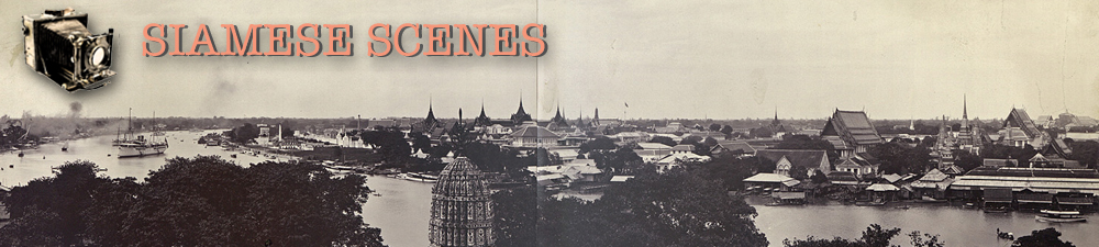 Siamese Scenes